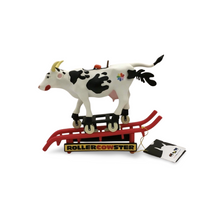 Load image into Gallery viewer, Roller Cowster
