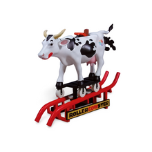 Load image into Gallery viewer, Roller Cowster
