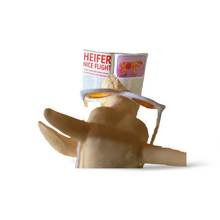 Load image into Gallery viewer, Heifer Nice Flight (UK Edition, Rare)
